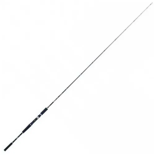 https://www.watersportstore.com/images/d/13794/137943326/seika-shibani-jigging-rod.webp