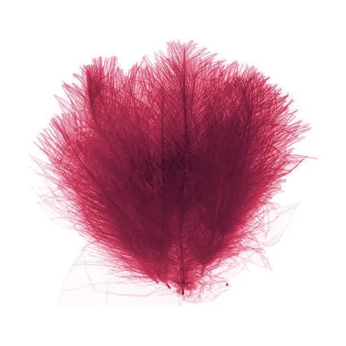 https://www.watersportstore.com/images/d/13824/138241641/baetis-cdc-dyed-feather.webp