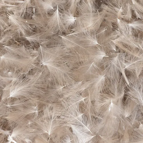 https://www.watersportstore.com/images/d/13824/138241649/baetis-cdc-wild-feather.webp