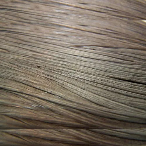https://www.watersportstore.com/images/d/13824/138241670/baetis-colgadera-feather.webp