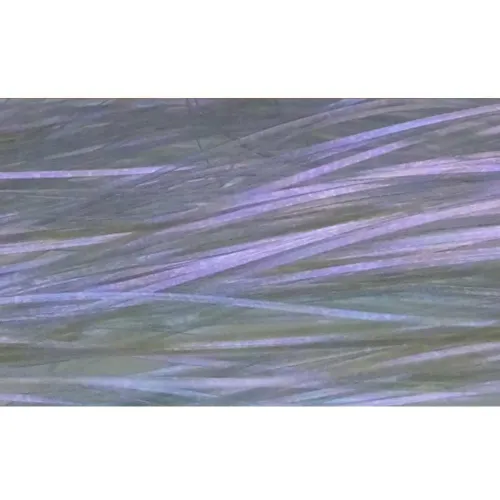 https://www.watersportstore.com/images/d/13824/138243633/baetis-flasher-flashabou.webp