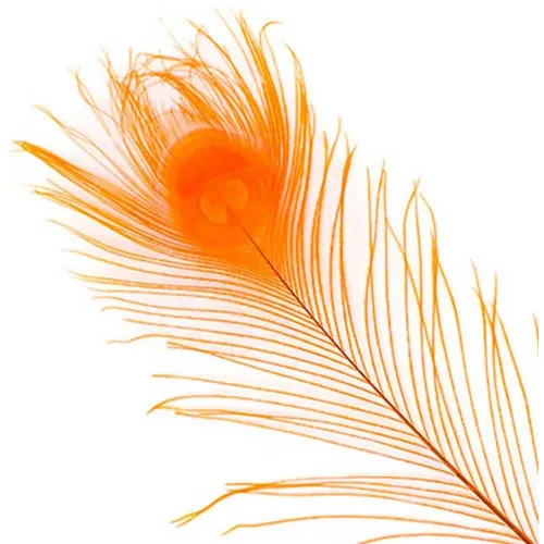 https://www.watersportstore.com/images/d/13824/138249615/baetis-dyed-peacock-feather.webp