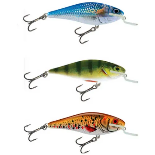 https://www.watersportstore.com/images/d/13843/138433560/salmo-executor-shallow-runner-minnow-50-mm.webp