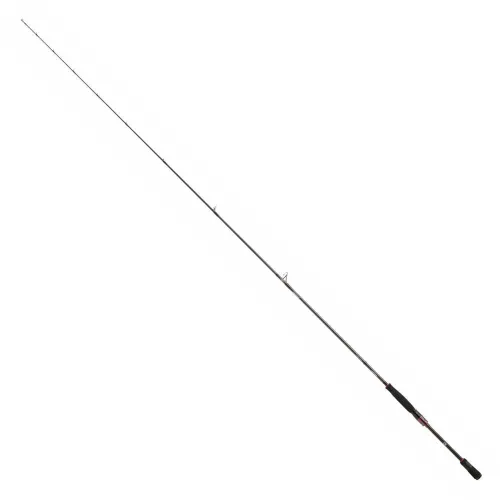 https://www.watersportstore.com/images/d/13858/138586439/daiwa-steez-ags-spinning-rod.webp