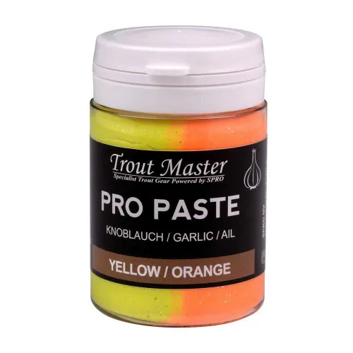 https://www.watersportstore.com/images/d/13869/138699401/spro-pro-paste-groundbait-garlic.webp