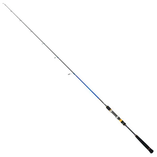 https://www.watersportstore.com/images/d/13879/138796826/cinnetic-rayforce-xbr-light-jigging-rod.webp