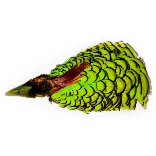 https://www.watersportstore.com/images/d/13927/139275132/baetis-lady-amherst-feather.webp