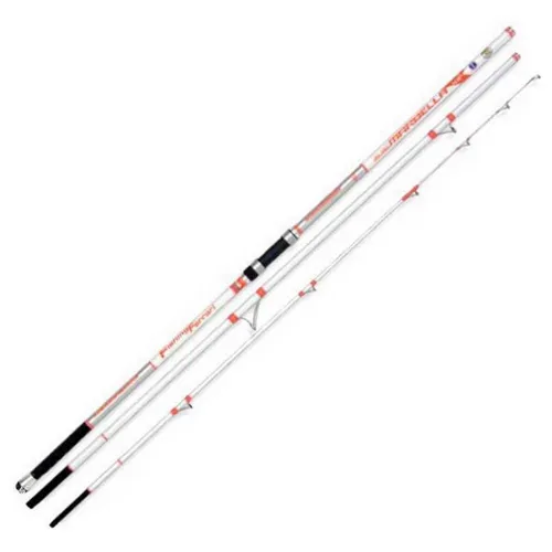 https://www.watersportstore.com/images/d/13930/139305461/fishing-ferrari-marbella-surfcasting-rod.webp