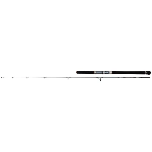 https://www.watersportstore.com/images/d/14038/140381306/penn-batalion-solid-jigging-rod.webp