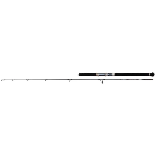 https://www.watersportstore.com/images/d/14038/140381309/penn-batallion-solid-jigging-rod.webp