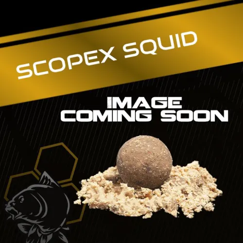https://www.watersportstore.com/images/d/14065/140656330/nash-bait-scopex-squid-flake-1kg-groundbait.webp