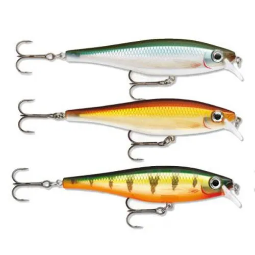 https://www.watersportstore.com/images/d/5/50946/rapala-bx-floating-minnow-12g-100-mm.webp