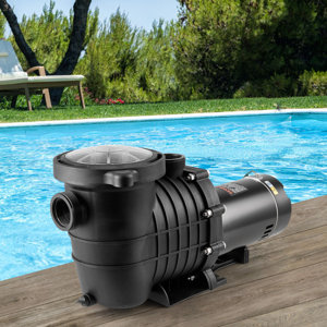 https://www.watersportstore.com/images/im/40646058/resize-h300/2899/289982584/Pool+Pump.jpg