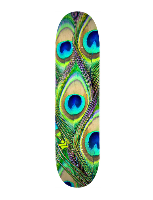 https://www.watersportstore.com/images/wp-content/uploads/2025/07/Mini-Logo.png